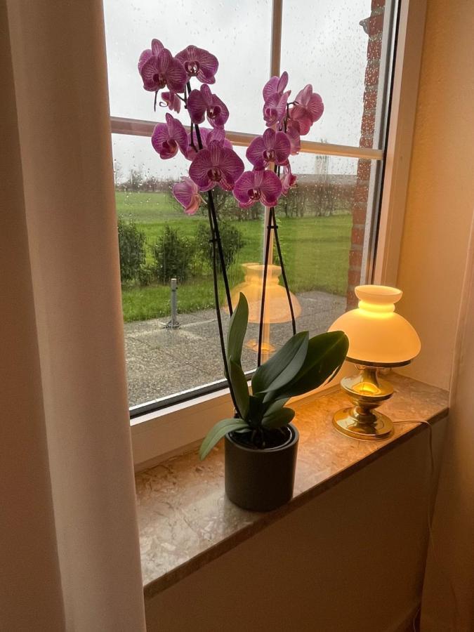Meine Ferienwohnung Fehmarn Extérieur photo